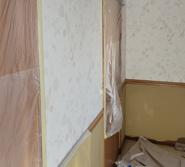 Professional Wallpaper Removal Services WI